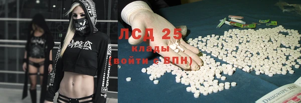 трава Верея