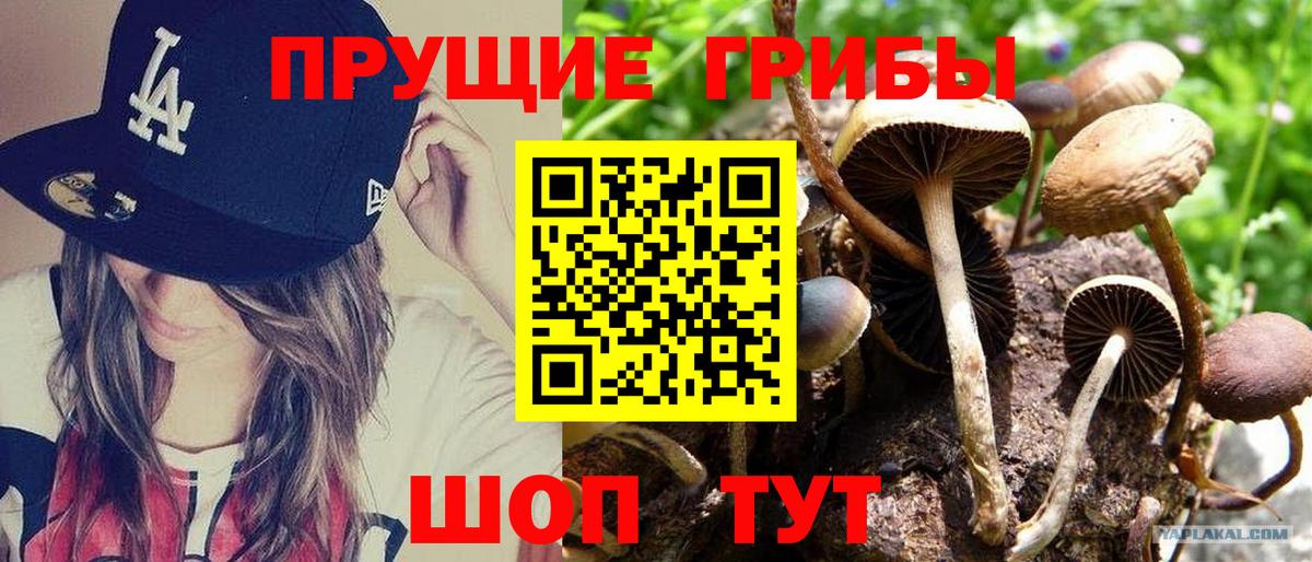 Волхов  Галлюциногенные грибы MAGIC MUSHROOMS  Галлюциногенные грибы ЛСД  Вход с VPN 