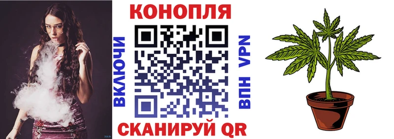 Марихуана план  Волхов 